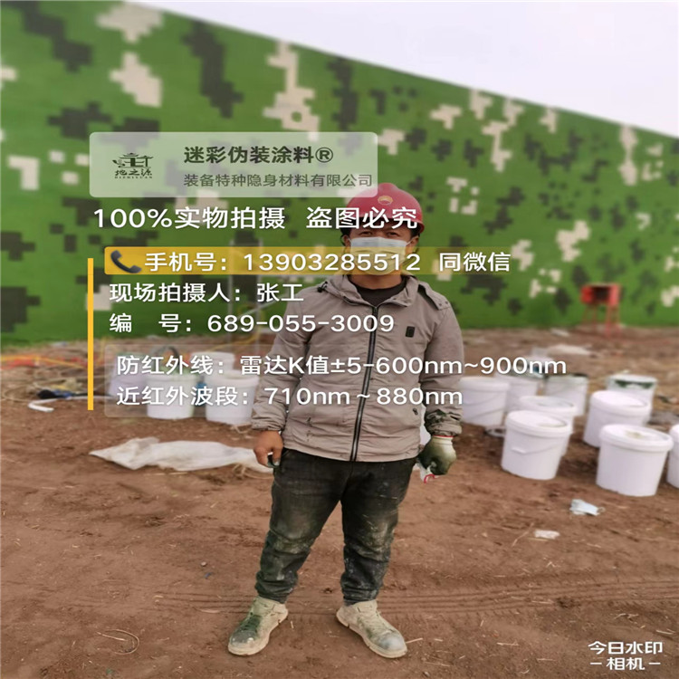 临高​包括外墙、护坡、水泥地面建筑物的迷彩喷涂